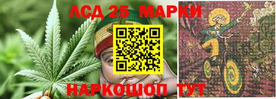 мдпв Кимры
