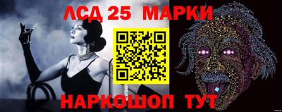 гидра Кингисепп