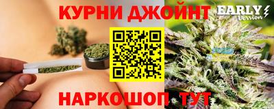 гидра Кингисепп