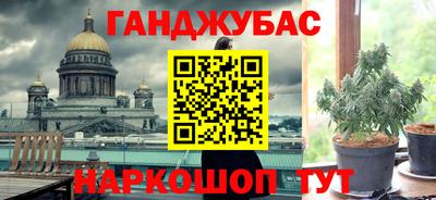 гидра Кингисепп