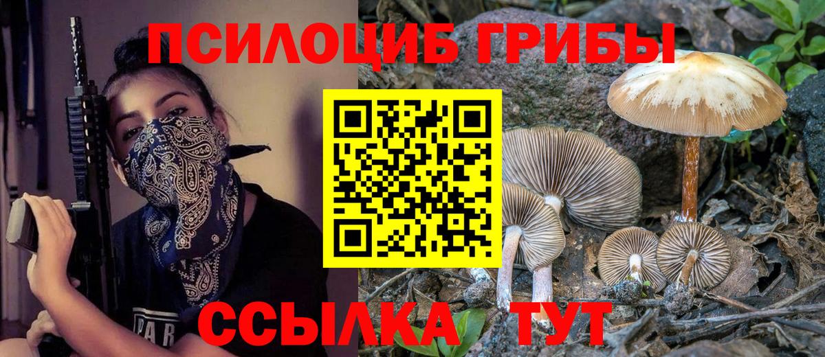 Галлюциногенные грибы Cubensis Биробиджан